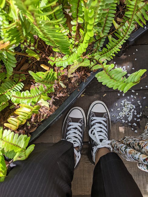 Wat zijn de nieuwste dames schoenen bij schuurman?