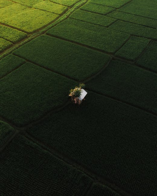 Zijn er veel reistoeristen die het land met de laagste bevolkingsdichtheid visiteren?